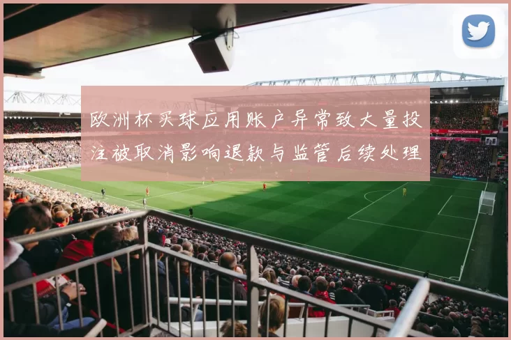 欧洲杯买球应用账户异常致大量投注被取消影响退款与监管后续处理